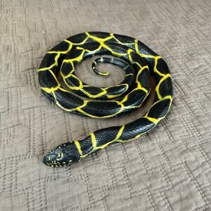 Toy Rubber Coiled Snake Chain Kingsnake 2005 Safari Ltd Black Yellow Stripes